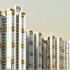 Novena Green